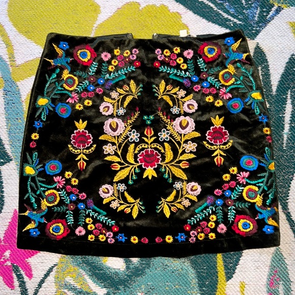 Velvet Embroidered Skirt - Picture 1 of 3